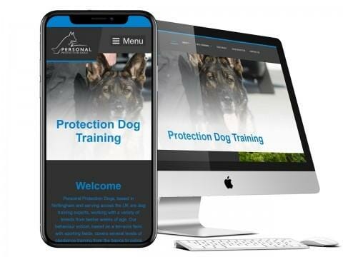 Leading web design services for Mansfield-based dog training company